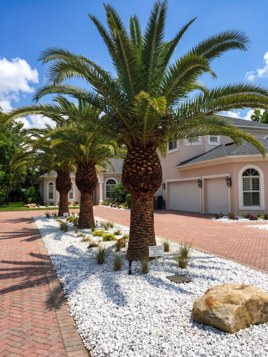 Palm Installations